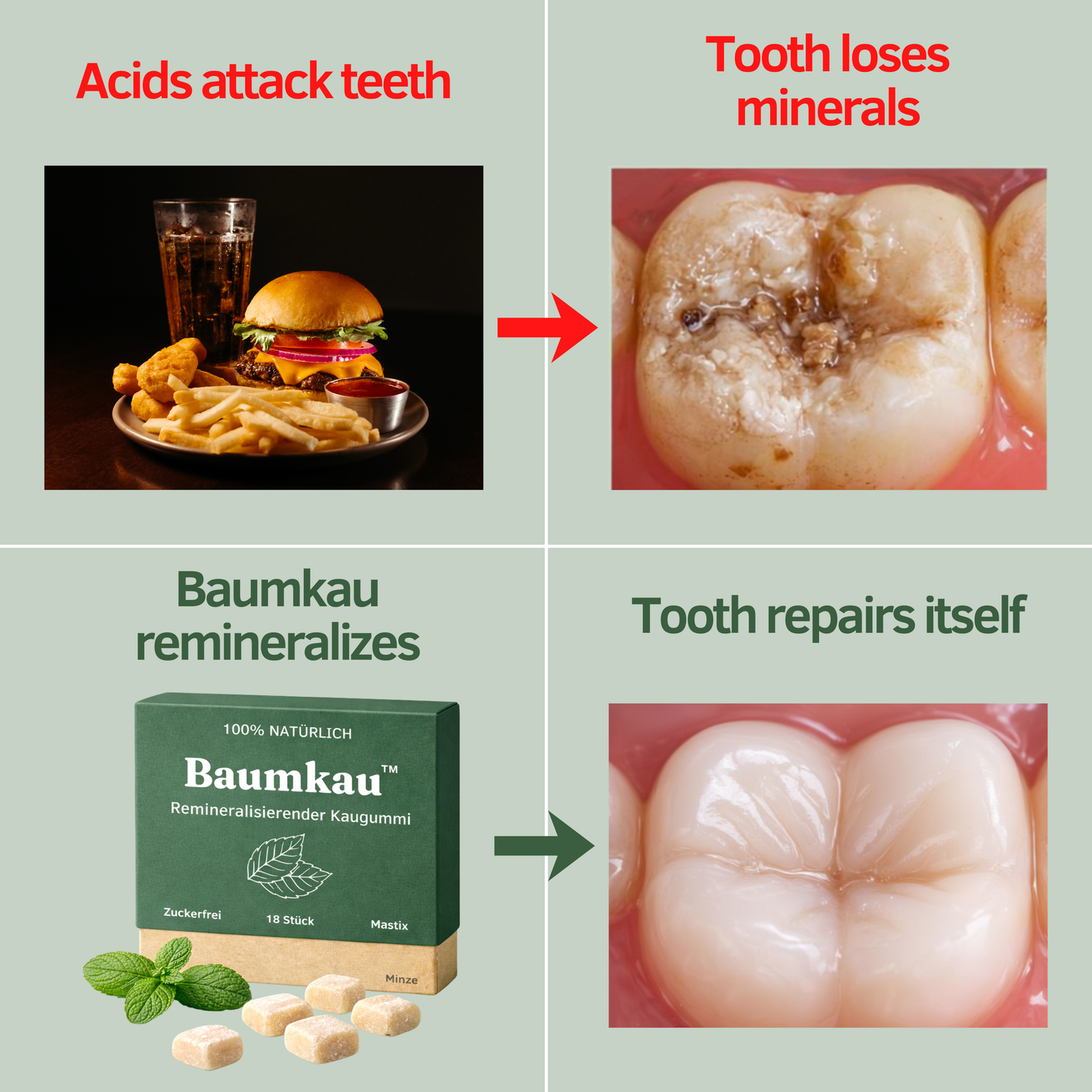 Baumkau - Remineralizing Gum