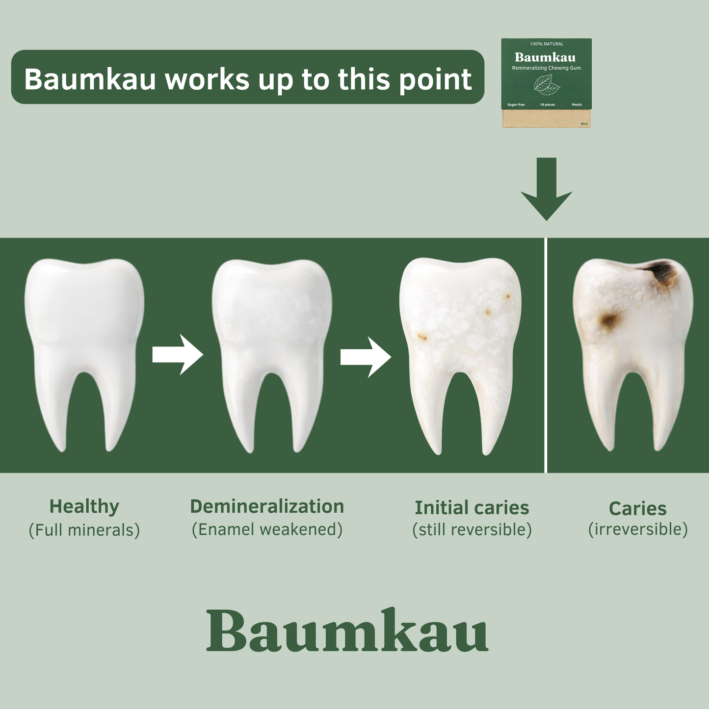 Baumkau - Remineralizing Gum