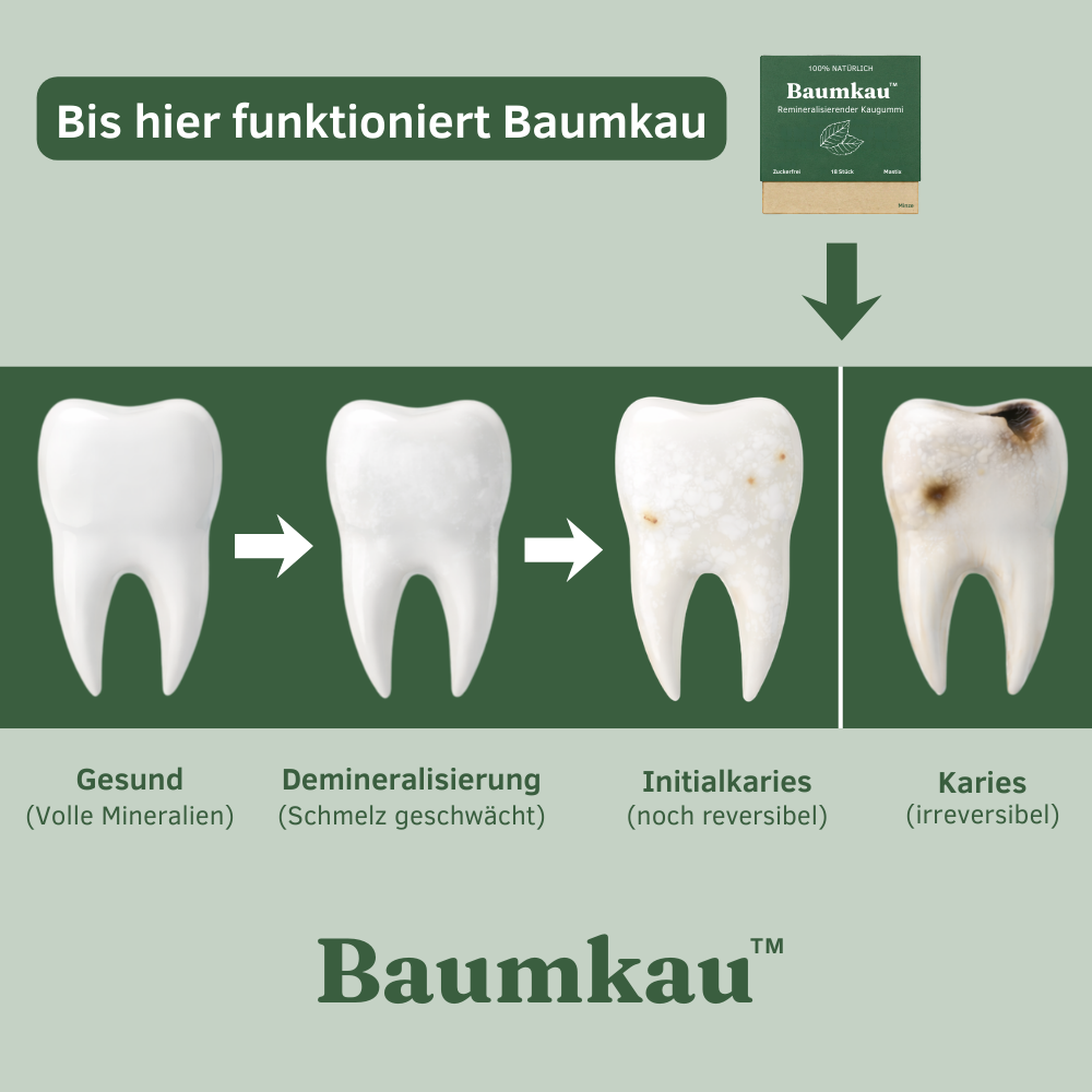 Baumkau - Remineralisierender Kaugummi