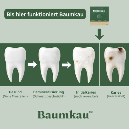 Baumkau - Remineralisierender Kaugummi