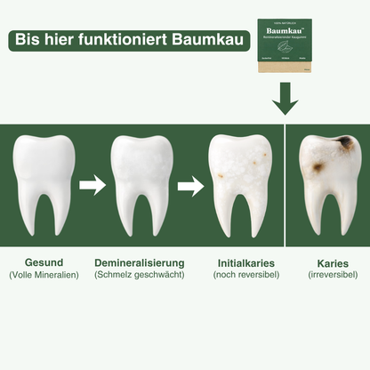 Baumkau - Täglicher Zahnpflege Kaugummi