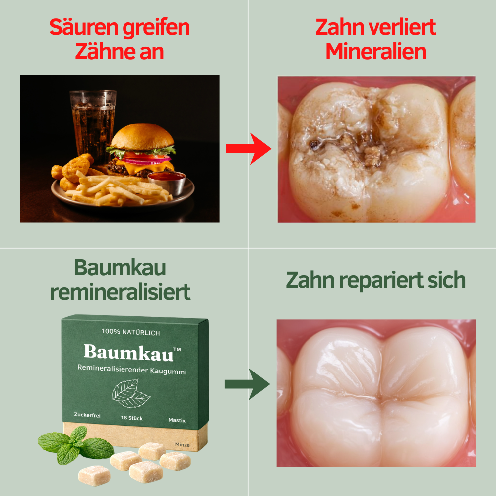 Baumkau - Remineralisierender Kaugummi