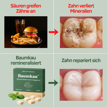 Baumkau - Remineralisierender Kaugummi